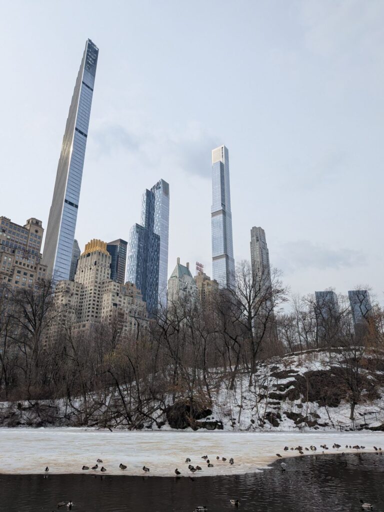 Blick aus dem Central Park auf die Billionaires Row - links der Steinway Tower