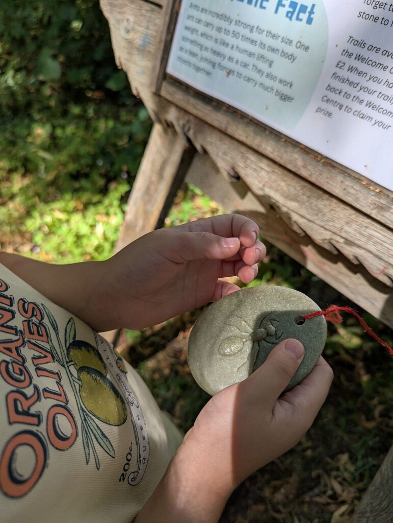 Klein L entdeckt die Infotafeln mit kleiner Steinameise im Harcourt Arboretum der University of Oxford