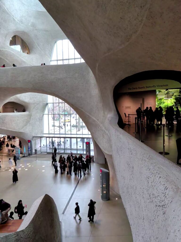 Kenneth C. Griffin Exploration Atrium im American Museum of Natural History