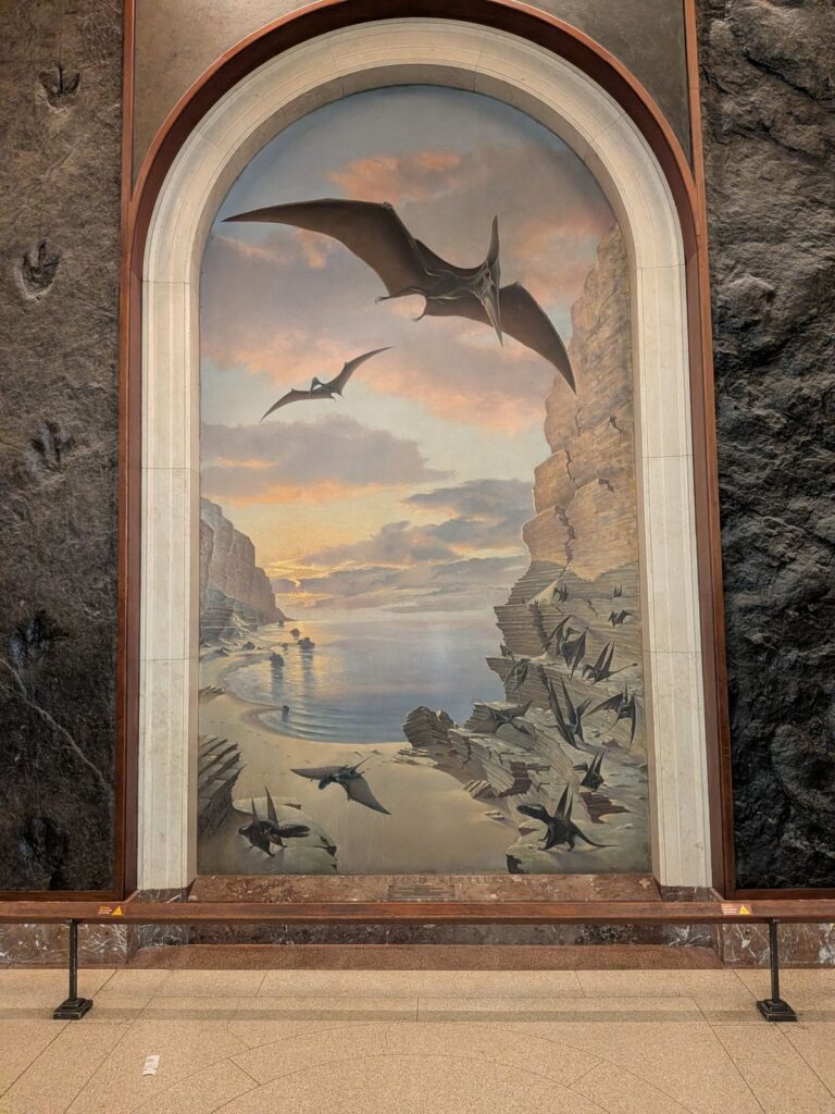 Abbildung Flugsaurier - American Museum of Natural History