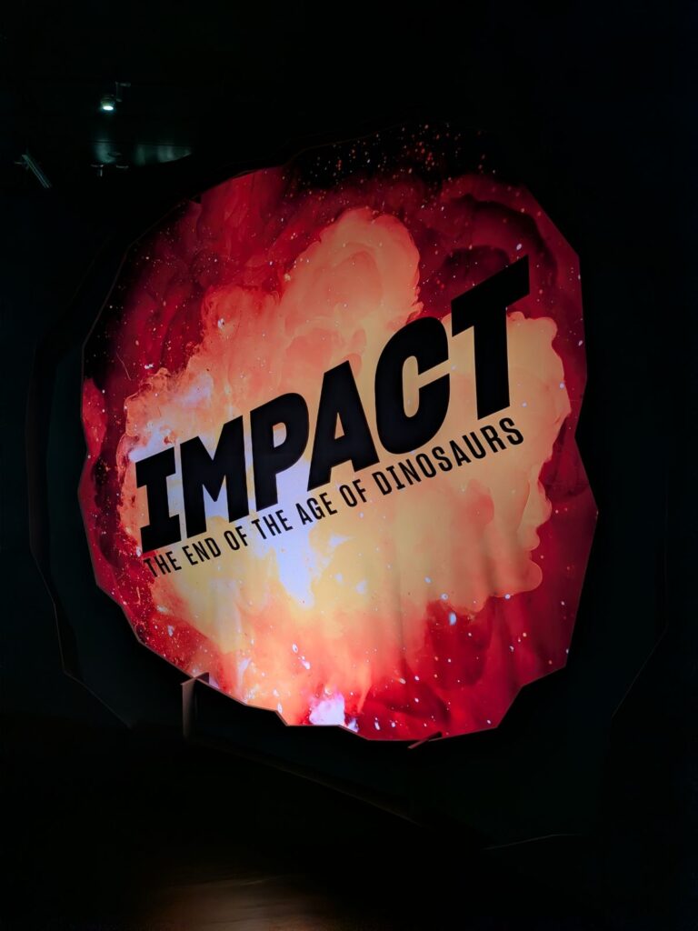 Ausstellung Impact