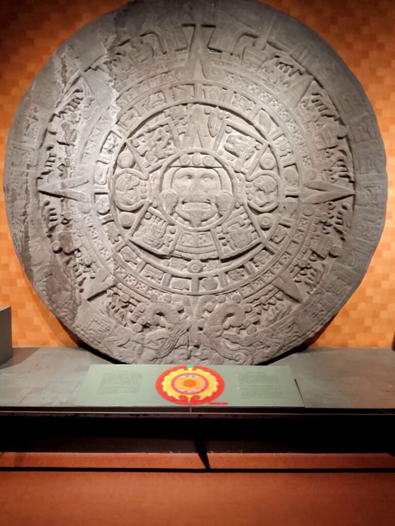 Exponat Sonnenstein- American Museum of Natural History